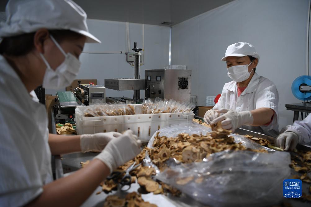 捕鱼游戏单机版中文版